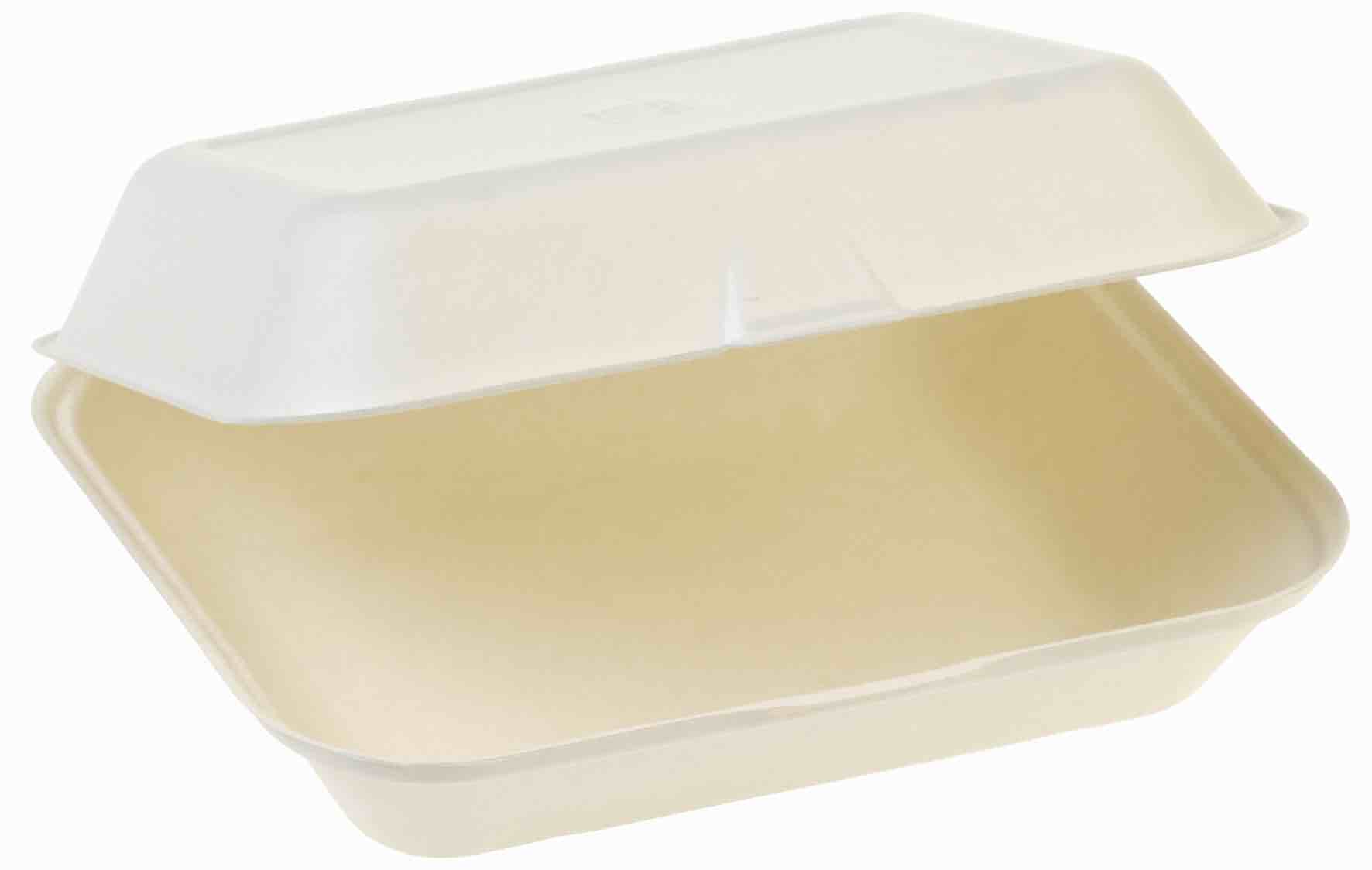 SUGARCANE CLAMSHELL LARGE -250